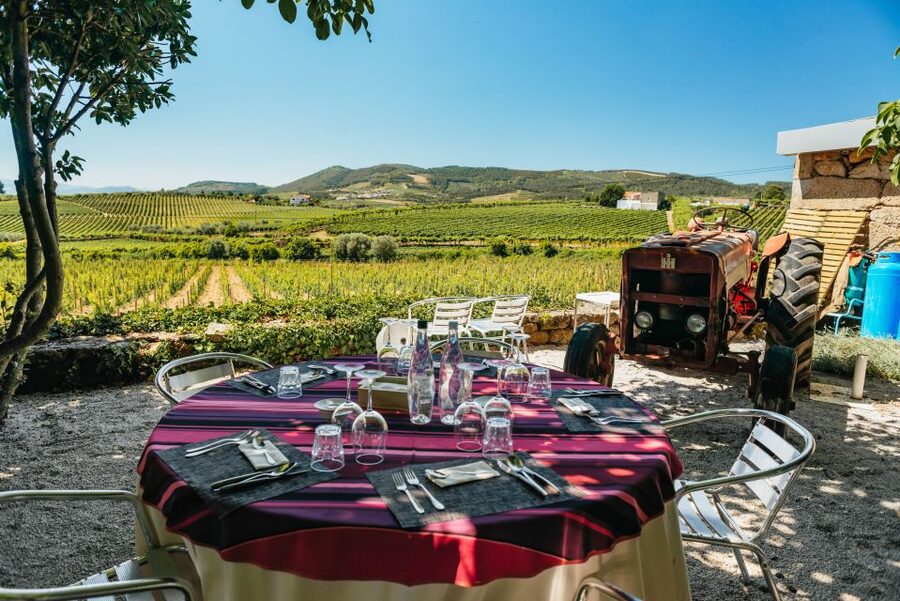 Porto: Douro Valley with Winery Lunch, Tastings & Cruise - Weather, clothing, and practical choices