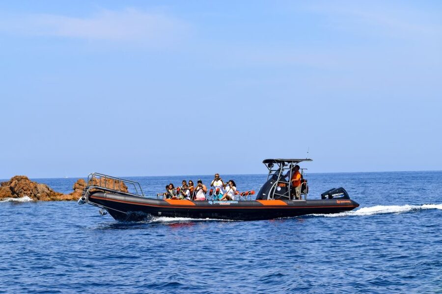 Porto: Scandola and Calanches of Piana Boat Trip - Comfort, packing, and practical limits