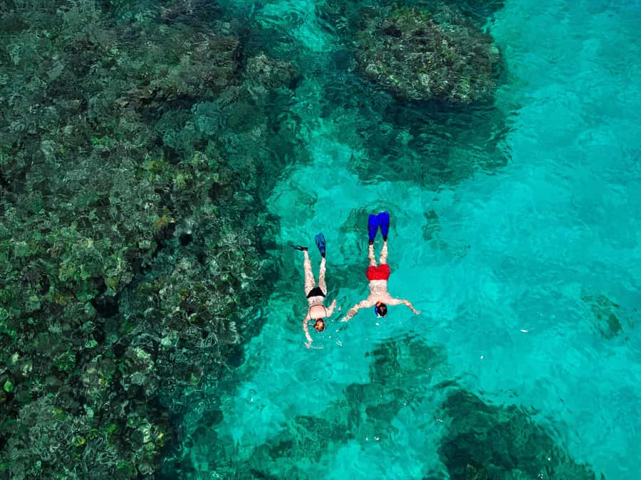 Praslin: Curieuse & St. Pierre Full-Day Boat Trip with Lunch - Why this Praslin boat trip works so well
