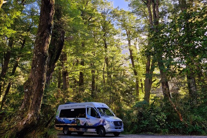 Premium Milford Sound Small Group Tour & Cruise from Queenstown - The Darran Mountains and Homer Tunnel bring the drama