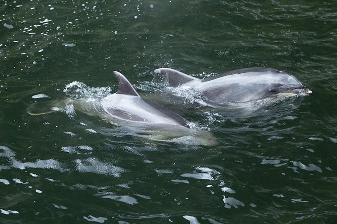 Premium Milford Sound Small Group Tour & Cruise from Queenstown - Pops View adds one final mountain stop