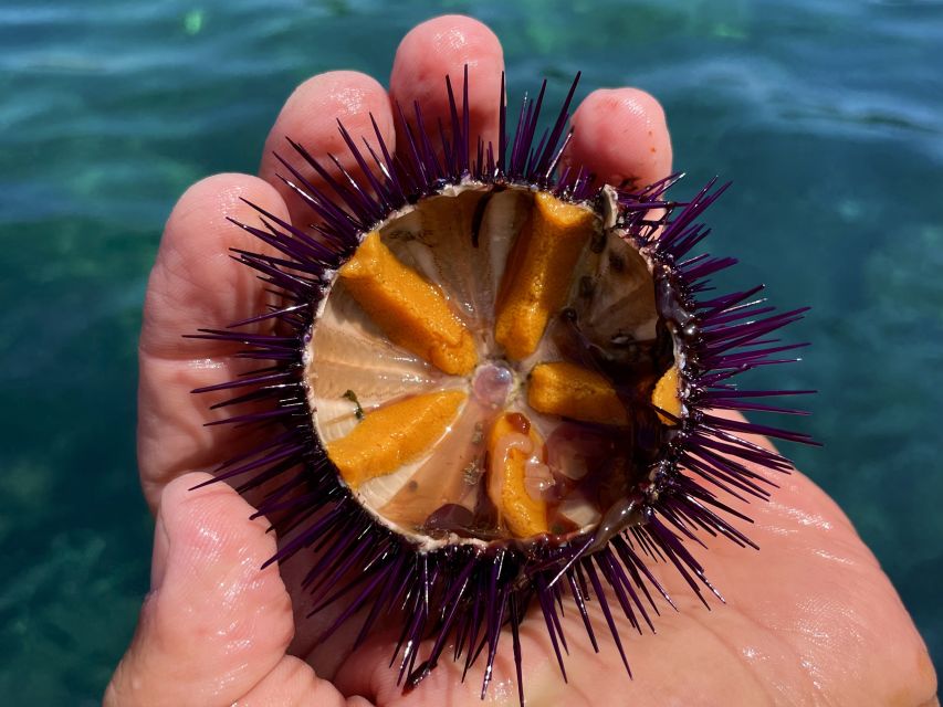 Procida: Boat Tour with Swimming Stops and Underwater Photos - Caves, beaches, and Vivara from the water