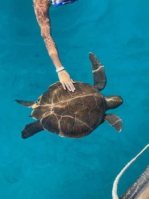 Protaras: Blue Lagoon and Turtles Pirate Cruise - Swimming in the Blue Lagoon