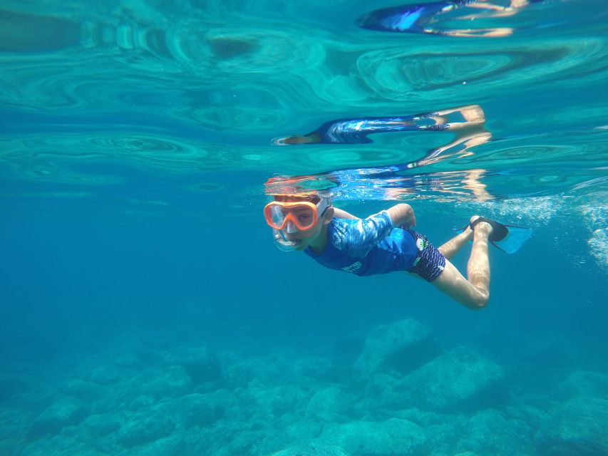 Puerto de Mogan: Boat and Snorkeling Trip - How the $69 price compares