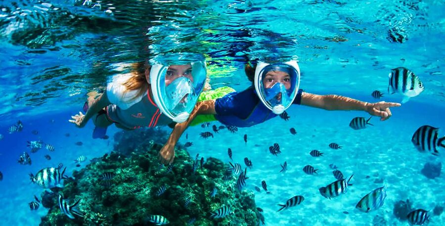 Puerto del Carmen: Dolphin-Watching Speedboat Tour with Swim - Is $41 a fair price?