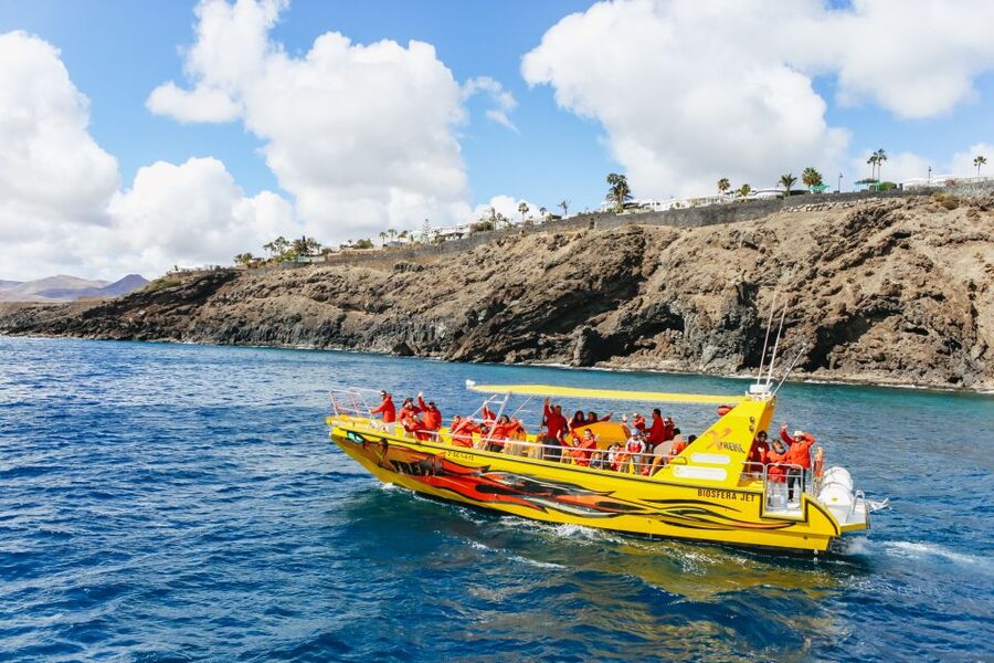 Puerto del Carmen: Dolphin-Watching Speedboat Tour with Swim - Small details that can make a big difference
