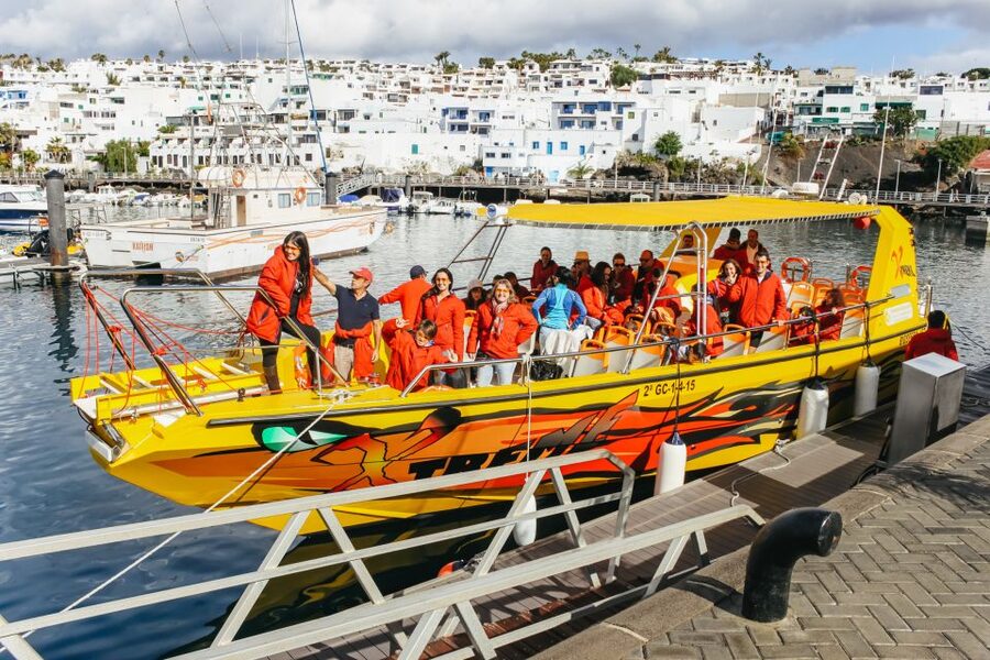 Puerto del Carmen: Dolphin-Watching Speedboat Tour with Swim - How the dolphin search really works
