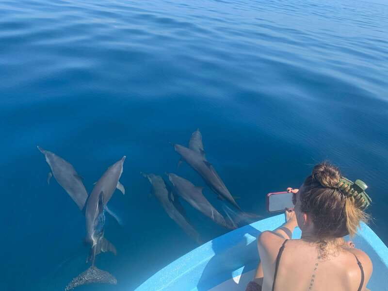 Puerto Escondido: Boat Tour to see Dolphins and Marine Life - From Puerto Angelito to the open Pacific
