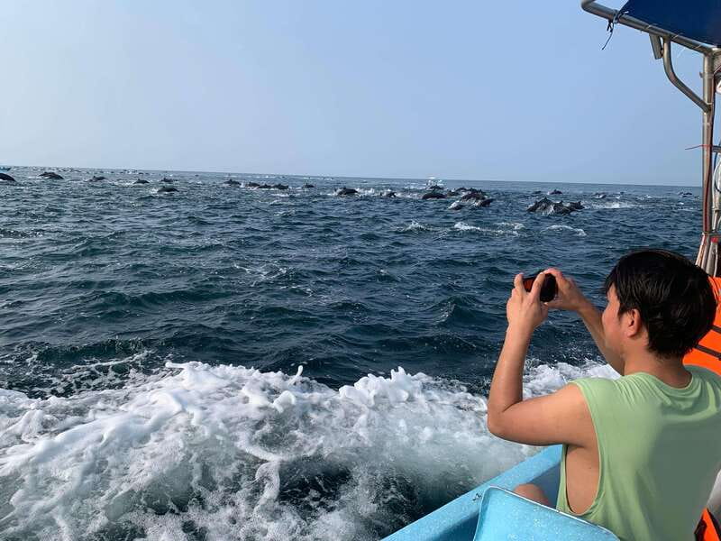 Puerto Escondido: Boat Tour to see Dolphins and Marine Life - Turtles, rays, and smaller surprises