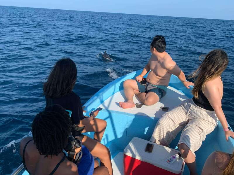 Puerto Escondido: Boat Tour to see Dolphins and Marine Life - Winter whale watching from November through March
