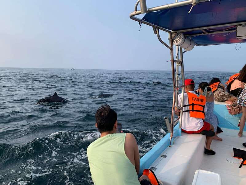 Puerto Escondido: Boat Tour to see Dolphins and Marine Life - What the $46 price includes