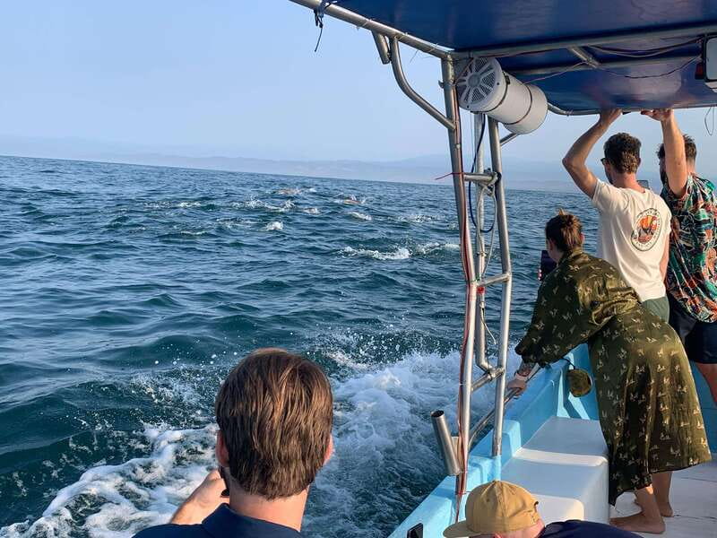 Puerto Escondido: Boat Tour to see Dolphins and Marine Life - How the dolphin search works