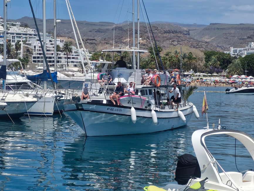 Puerto Rico, Gran Canaria: boat trip, drinks, food, paddle surfing, snorkeling - Conditions, timing, and small drawbacks