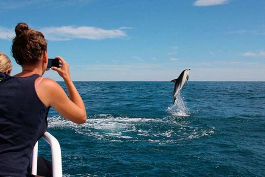 Pula: Brijuni Islands Dolphin Watching & Wildlife Cruise - Dolphins, sunset, and the Brijuni coast