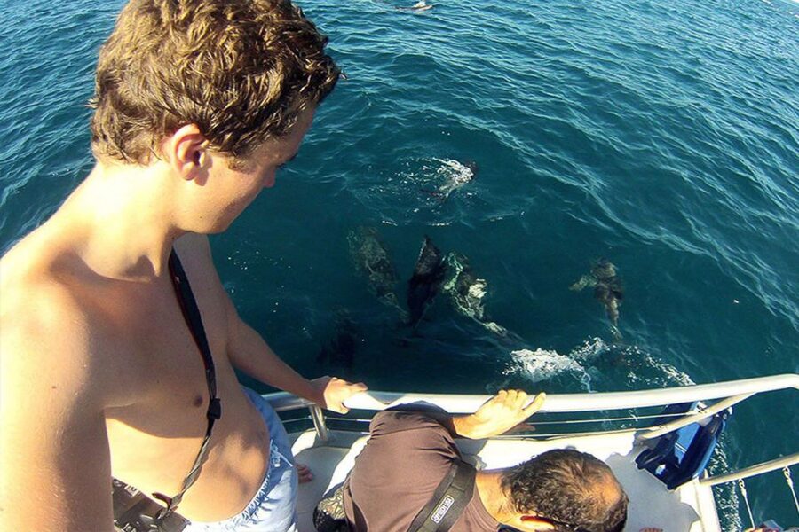 Pula: Brijuni Islands Dolphin Watching & Wildlife Cruise - Who will enjoy this cruise most