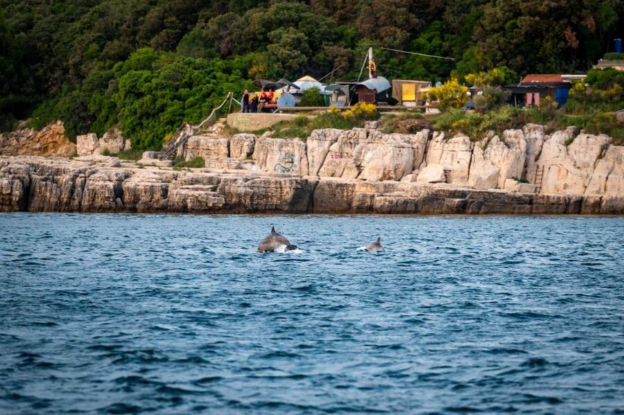 Pula: Brijuni National Park Sunset, Dolphins & Dinner Cruise - Dinner prepared on board