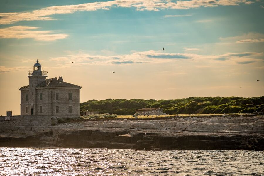 Pula: Brijuni National Park Sunset, Dolphins & Dinner Cruise - Sunset, music, and the return to Pula