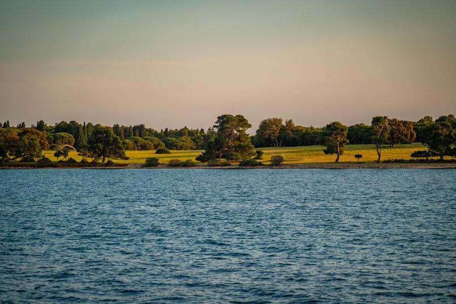 Pula: Brijuni National Park Sunset, Dolphins & Dinner Cruise - Searching for dolphins near Brijuni Islands