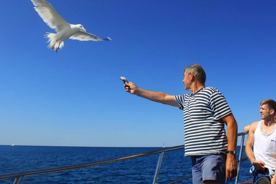 Pula: Dolphin Watching Sunset Cruise with Dinner & Drinks - Heading toward Brijuni for dolphins