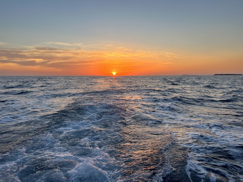 Pula: Dolphin Watching Sunset Cruise with Dinner & Drinks - Practical details that make the evening easier