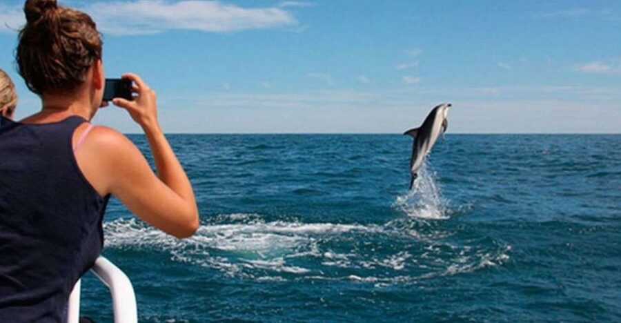 Pula: National Park Brijuni Island Visit & Dolphin Cruise - What this Brijuni boat trip is really like