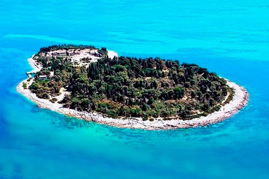Pula: National Park Brijuni Island Visit & Dolphin Cruise - Dolphin watching is exciting, but never promised