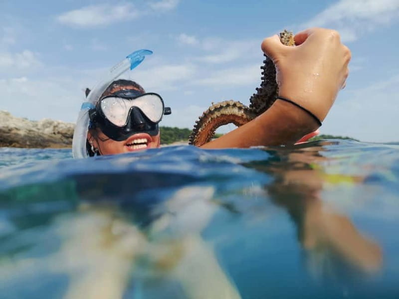 Pula: Sea Adventure – Boat, Kayak, Snorkeling & Cliff Jumps - Why the boat ride improves the whole outing