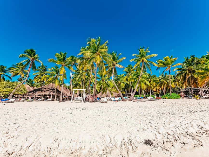 Punta Cana: Catamaran Boat to Saona Island with Buffet Lunch - Practical packing advice for the day