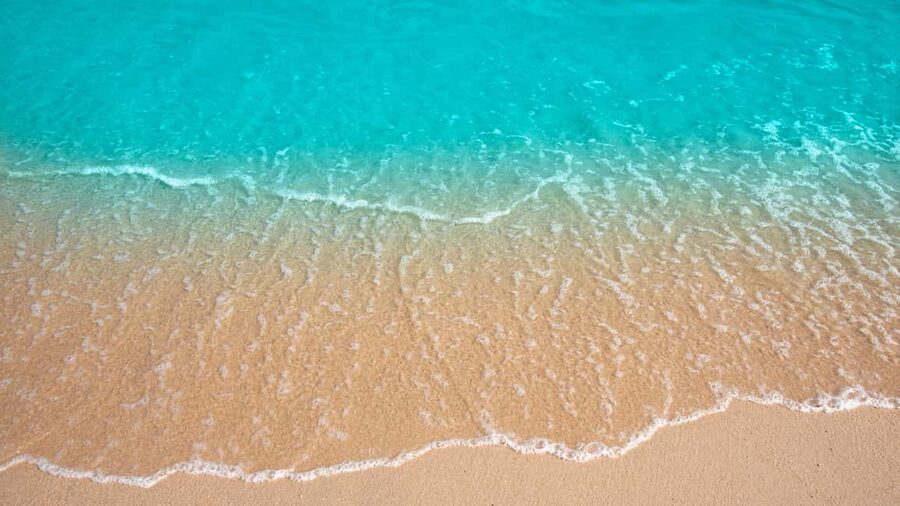 Punta Cana: Saona Island Catamaran Tour with Food & Open Bar - Saona Island’s white-sand beach