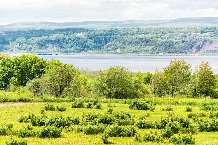 Québec City: Guided Sightseeing River Cruise - Practical advice for a smooth departure