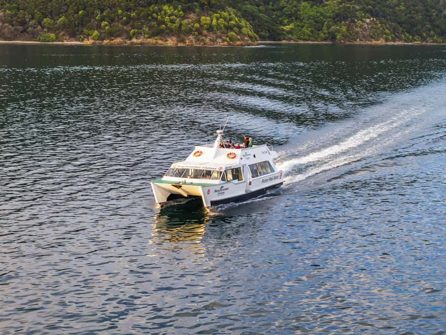 Queen Charlotte Sound Mail Boat Cruise from Picton - Choosing between the small boat and the catamaran