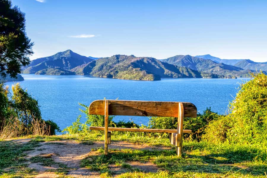 Queen Charlotte Track: Cruise & Self-Guided Hike from Picton - Key points to know before you go