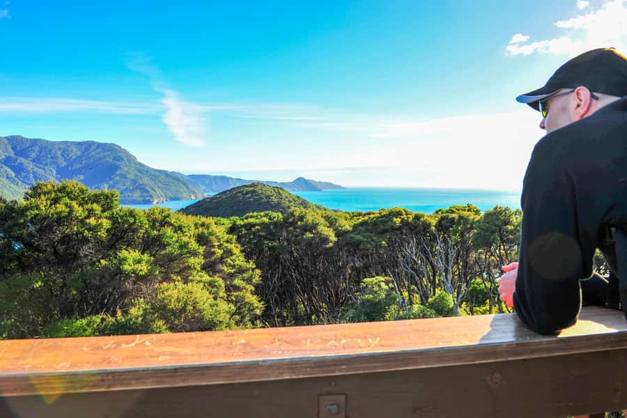 Queen Charlotte Track: Cruise & Self-Guided Hike from Picton - How the $66 price measures up