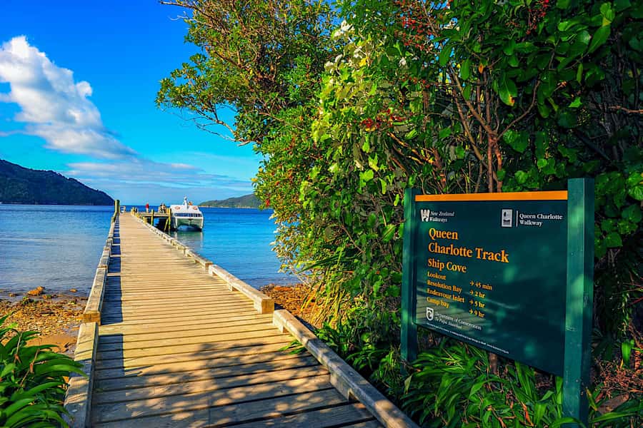 Queen Charlotte Track: Cruise & Self-Guided Hike from Picton - What the walking is really like