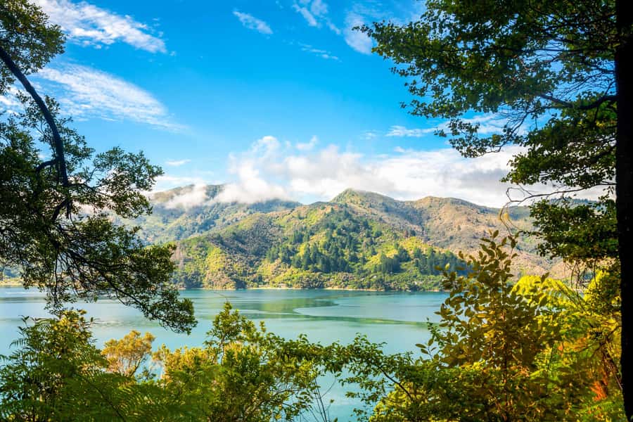 Queen Charlotte Track: Cruise & Self-Guided Hike from Picton - Leaving Picton by water