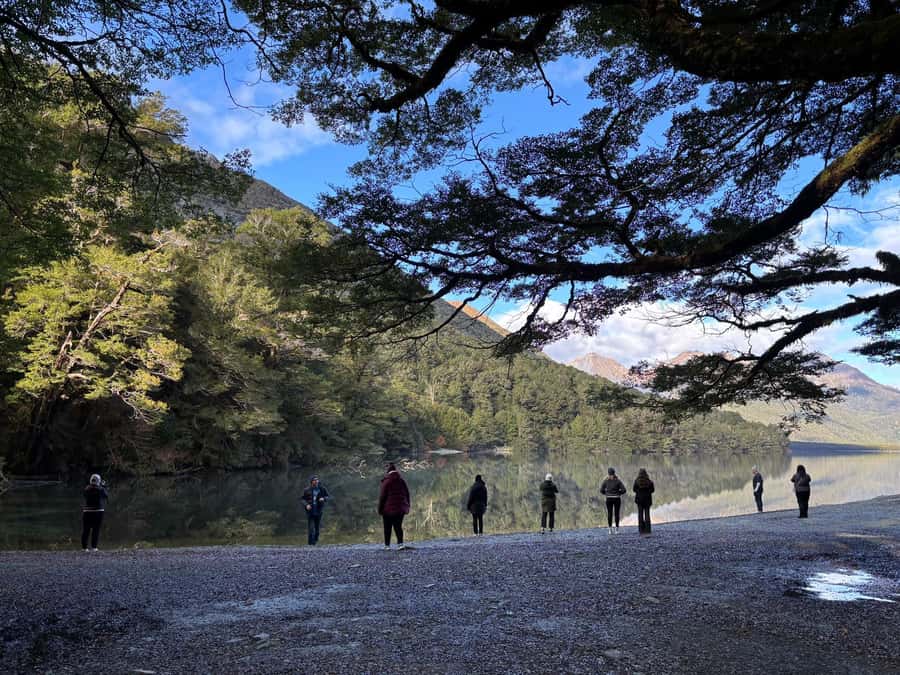 Queenstown: Milford Sound Small-Group Tour w Cruise & Lunch - The return to Queenstown