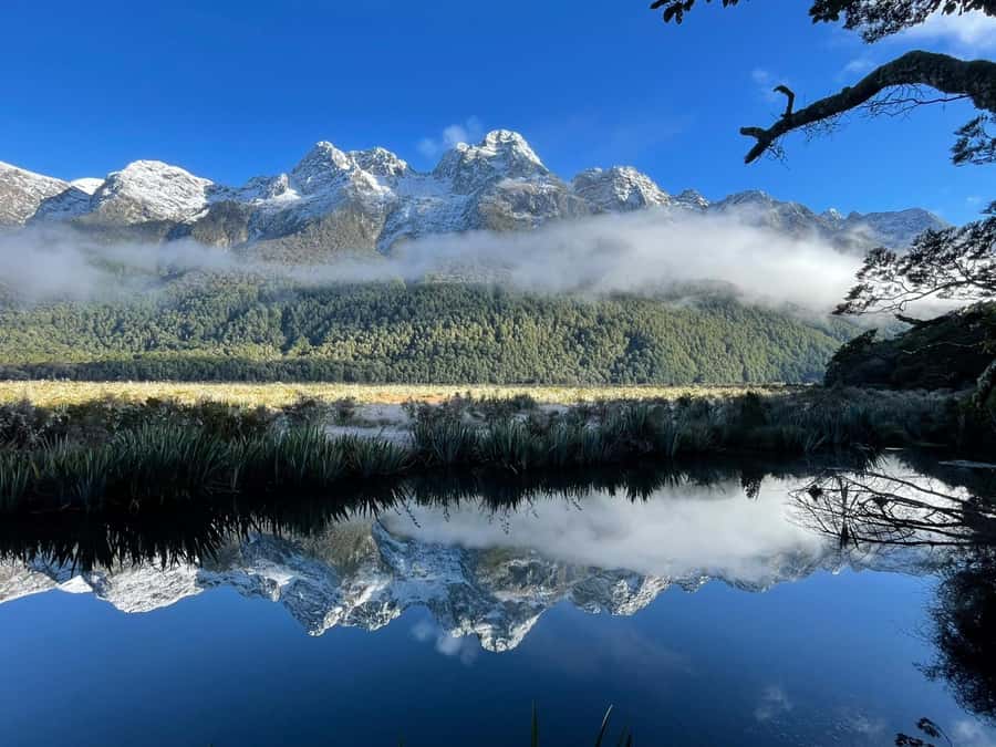 Queenstown: Milford Sound Small-Group Tour w Cruise & Lunch - Lake Gunn, the Hollyford River, and Kea country