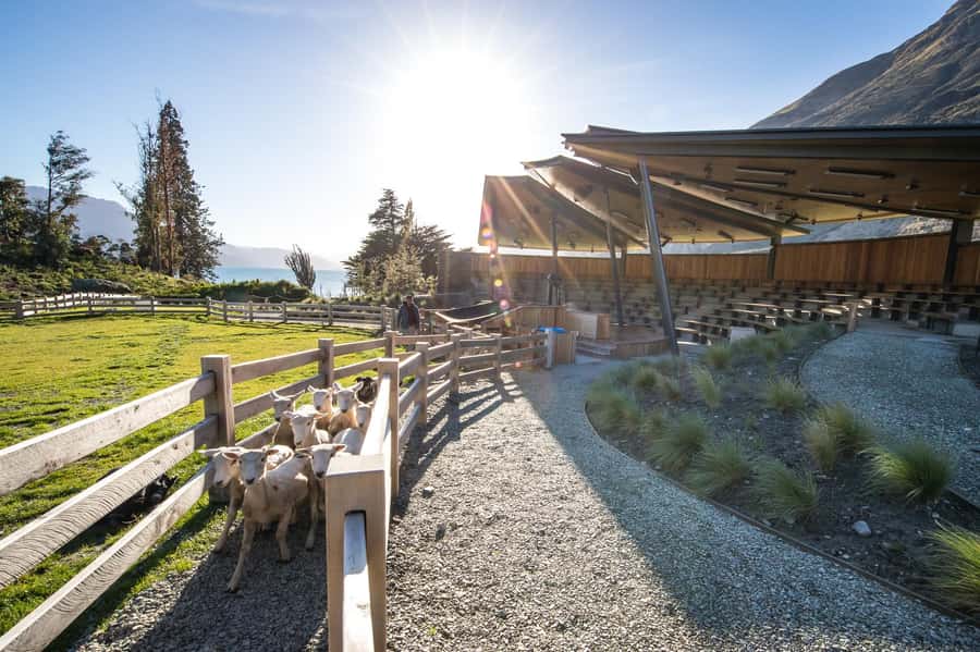 Queenstown: Queenstown Lake Cruise and Walter Peak Farm Tour - How the $80 to $155 pricing affects value
