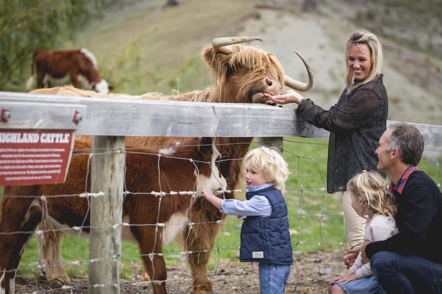 Queenstown: Queenstown Lake Cruise and Walter Peak Farm Tour - Arriving at Walter Peak Farm