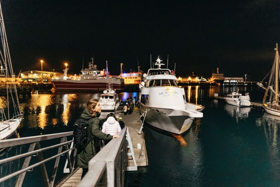 Reykjavik: Northern Lights Yacht Tour - Seeing the lights from a moving yacht
