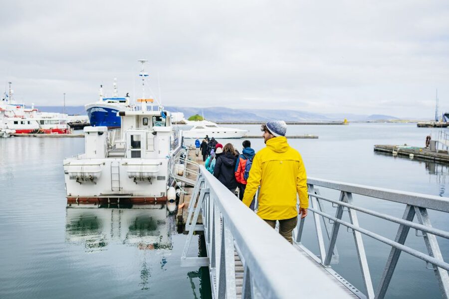 Reykjavik: Puffin Watching Boat Tour - Who should book this Reykjavik puffin tour?