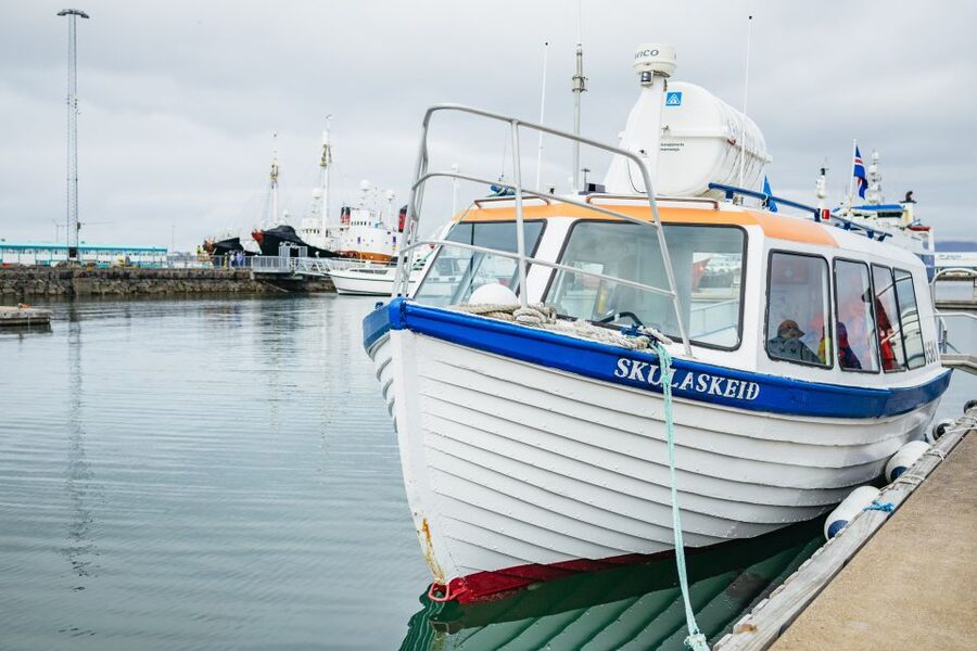 Reykjavik: Puffin Watching Boat Tour - Picking the best time for puffin activity
