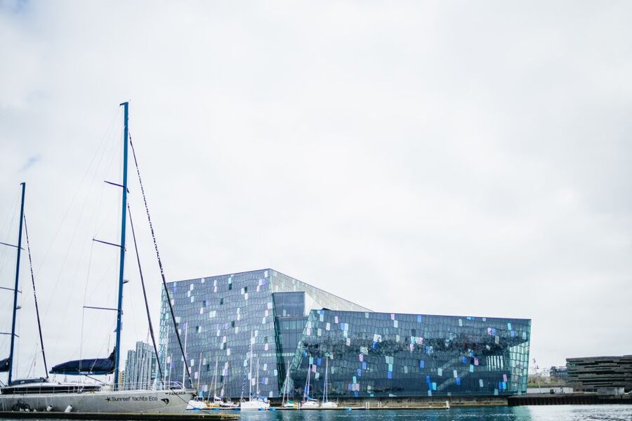 Reykjavik: Puffin Watching Boat Tour - The guide makes a real difference