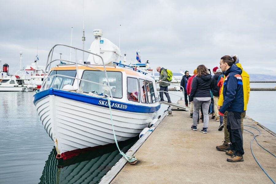 Reykjavik: Puffin Watching Boat Tour - Is $64 a fair price for one hour?