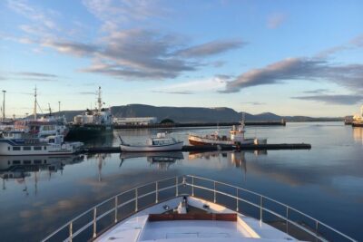 Whale Watching and Dolphin Watching Yacht Cruise
