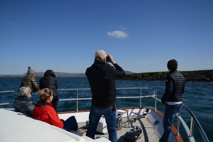 Reykjavik: Whale Watching and Dolphin Watching Yacht Cruise - Is $106 a fair price?