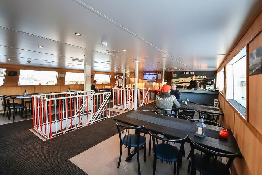Reykjavík: Whale Watching and Marine Life Cruise - Choosing the best place on the boat