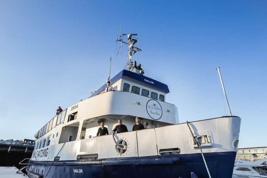 Reykjavík: Whale Watching and Marine Life Cruise - When to book: April to October or winter?