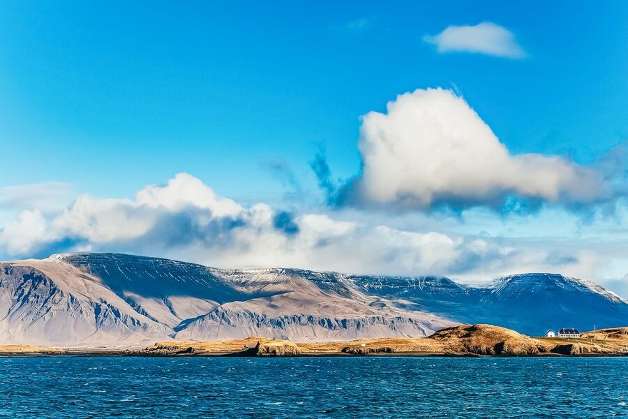 Reykjavík: Whale Watching and Marine Life Cruise - Searching for whales in open water