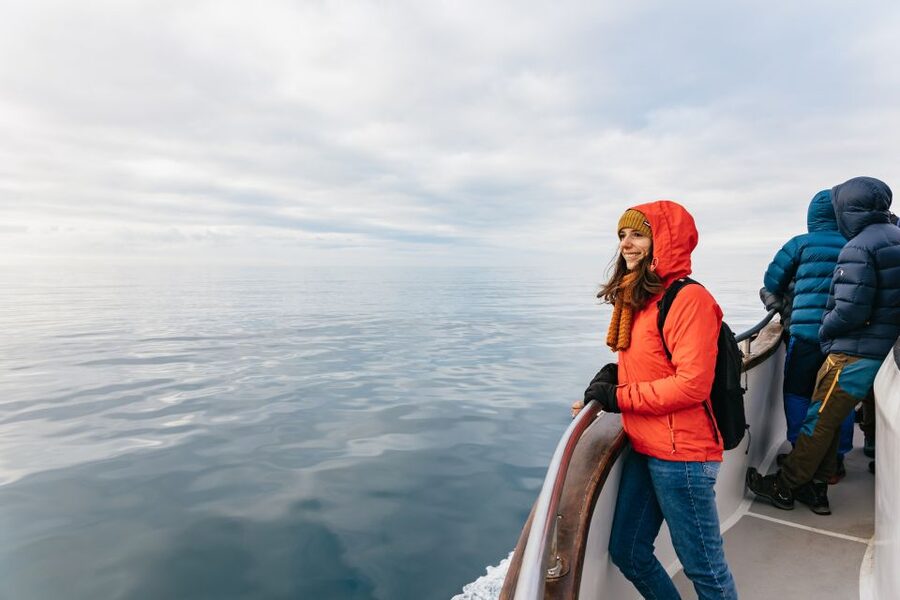 Reykjavík: Whale Watching Cruise on the Amelia Rose Yacht - Is $107 a fair price?